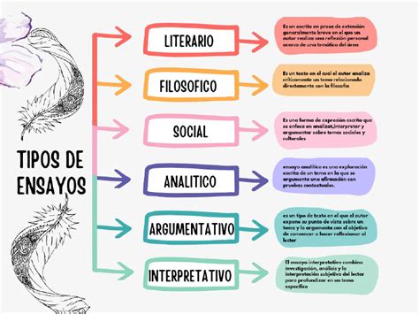 Infografía detallando los diferentes tipos de ensayos de campo y análisis de laboratorio ofrecidos por Campex Baer.