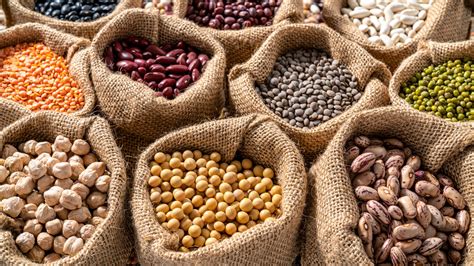 Comparativa visual del crecimiento de lentejas y garbanzos en diferentes condiciones.