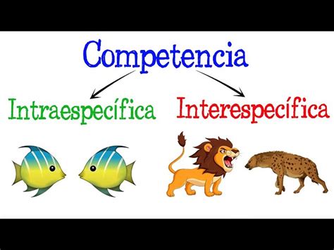 Esquema que muestra el triple efecto de los salmones escapados: depredación, competencia por recursos y transmisión de patógenos.