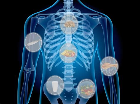 Esquema de cómo el calcio y la vitamina D interactúan para fortalecer los huesos