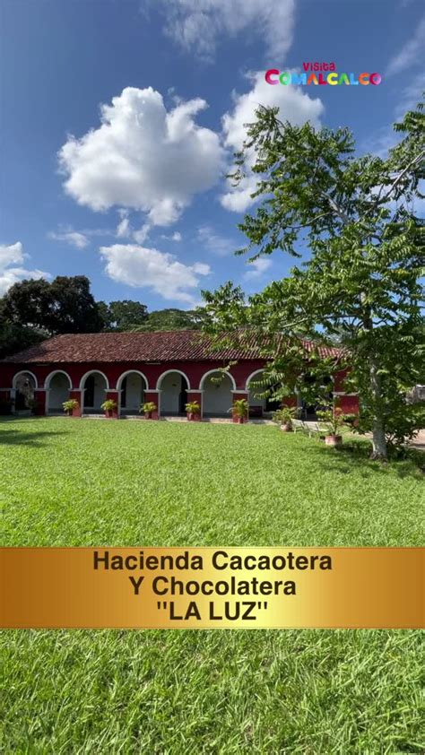 Infografía comparativa: Diferencia entre la hacienda cacaotera tradicional y la plantación industrial moderna.