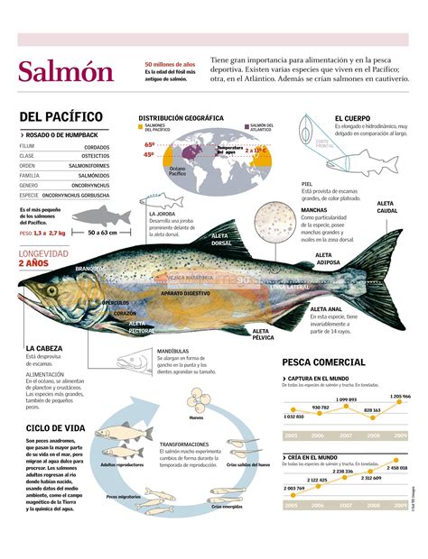 Infografía: Distribución global del salmón de cultivo