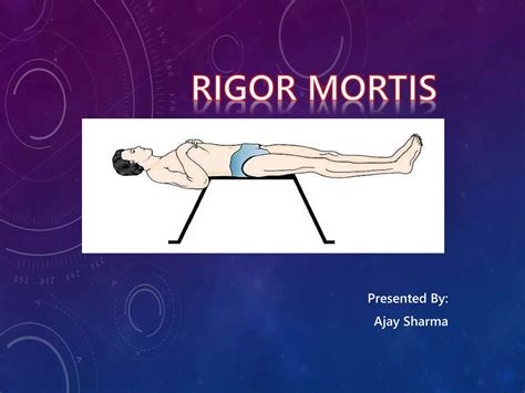 Esquema que muestra la progresión temporal: relajación inicial -> fase de rigor mortis (rigidez) -> resolución del rigor (ablandamiento)