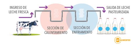 Esquema explicativo del proceso de pasteurización del huevo: tratamiento térmico controlado para eliminar patógenos manteniendo las propiedades funcionales.