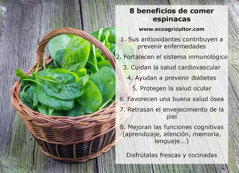 Infografía detallando los nutrientes clave de las espinacas y zanahorias y sus beneficios para el desarrollo infantil.