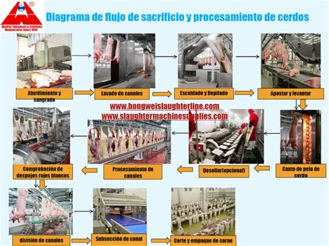 Trabajadores en el proceso de sacrificio y preparación del atún