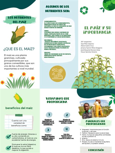 Tabla comparativa de los perfiles nutricionales de maíz chala de alta y baja calidad.