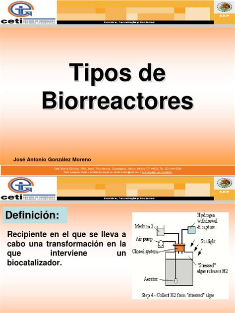 Diagrama comparativo de diferentes tipos de biorreactores