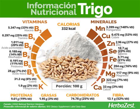 infografía nutricional del salvado de trigo destacando su contenido de fibra y hierro