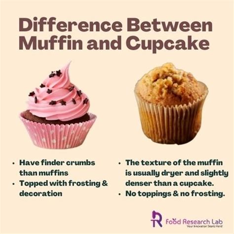 Composición de diferentes tipos de dulces similares al cupcake: muffin, magdalena, mugcake, butterfly cake
