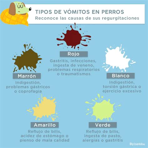 Infografía mostrando diferentes colores del vómito y sus posibles causas
