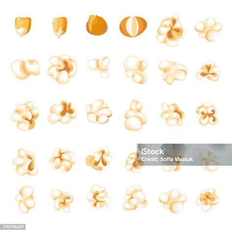 Ilustración de diferentes tipos de maíz y granos de palomitas de maíz.