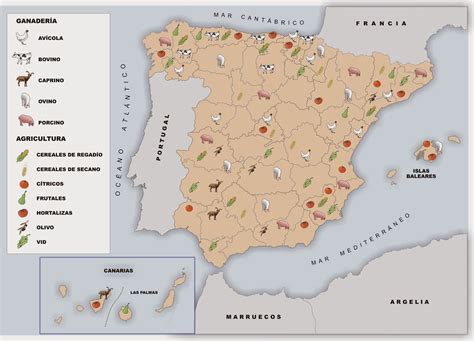 mapa de España mostrando las principales zonas de producción de jamón ibérico (Extremadura, Andalucía, Salamanca)