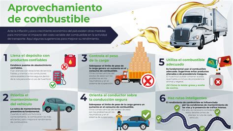 Esquema sobre el uso de piñas como combustible eficiente para chimeneas y barbacoas