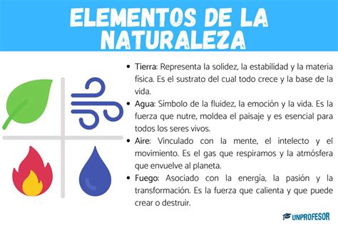 Esquema ilustrativo de elementos de la naturaleza utilizados en la magia natural: castañas, nueces y hierbas otoñales.
