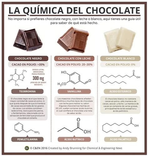 infografía sobre los componentes nutricionales del chocolate negro