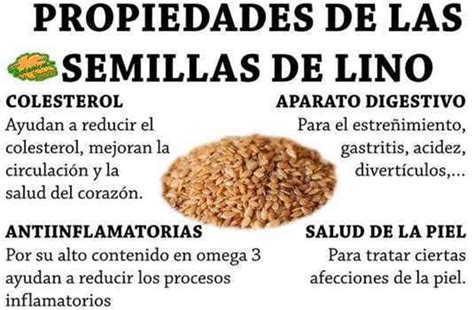 Infografía detallando los beneficios de las semillas de lino: contenido de fibra, omega 3 y otros nutrientes.