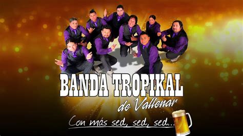 Fotografía promocional de la Banda Tropikal de Vallenar durante una presentación en vivo.