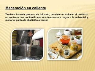 Infografía paso a paso: recolección, maceración en recipiente no metálico y filtrado del purín de consuelda.