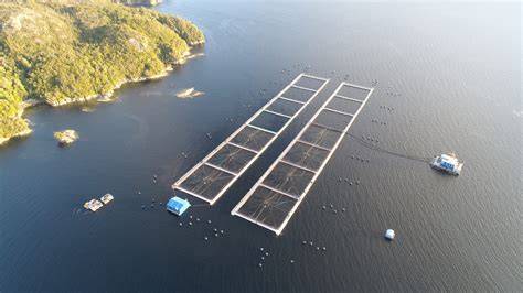 Imagen de un centro de cultivo de salmones con equipos de mitigación o tratamiento contra parásitos
