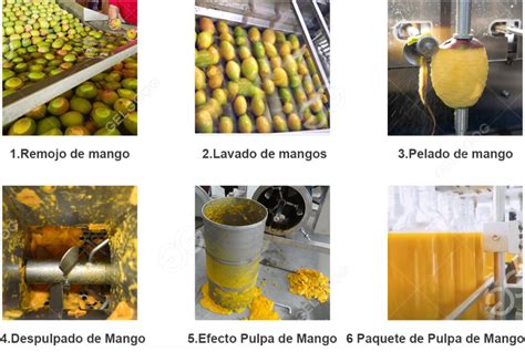Ilustración de la maquinaria utilizada para el pelado y deshuesado de duraznos a escala industrial