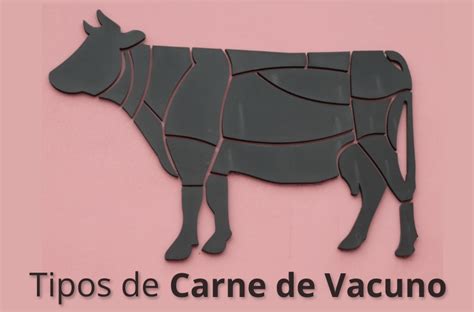 Infografía: Tipos de piezas de vacuno utilizadas para la elaboración de la cecina (babilla, contra, tapa, cadera).