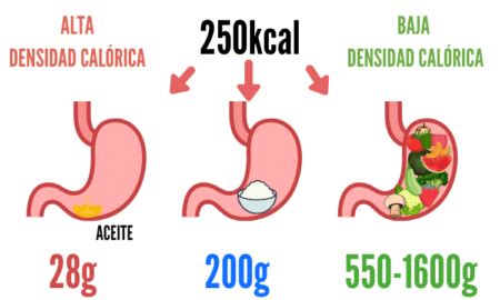 Infografía comparativa mostrando la densidad calórica y el contenido de grasas entre el pan (integral vs blanco) y las galletas de agua.