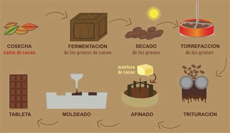 Esquema visual del proceso de elaboración de chocolate artesanal en casa