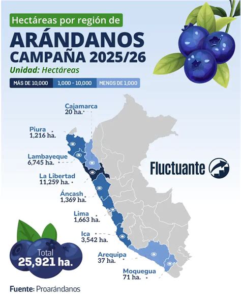 infografía mostrando la distribución de hectáreas de nogal por región en Chile y el crecimiento de exportaciones a India por región