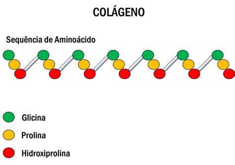 Esquema de la composición molecular del colágeno