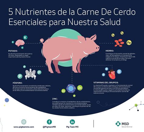 Infografía sobre los beneficios nutricionales de la grasa de cerdo