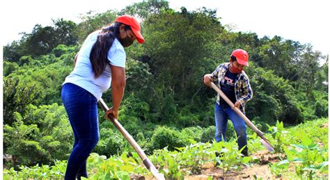 Fotografía de voluntarios de Fundación Kennedy realizando labores de limpieza o monitoreo en el humedal