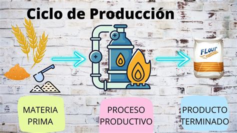 infografía sobre el ciclo de producción de Omega 3 a partir de algas cultivadas con CO2
