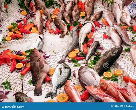 variedad de pescados frescos y coloridas verduras dispuestas para cocinar