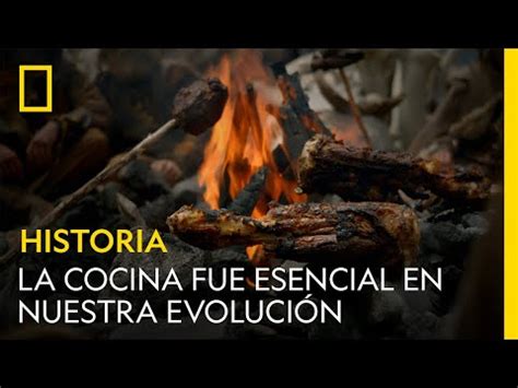 Ilustración de la evolución de la cocina a lo largo de la historia