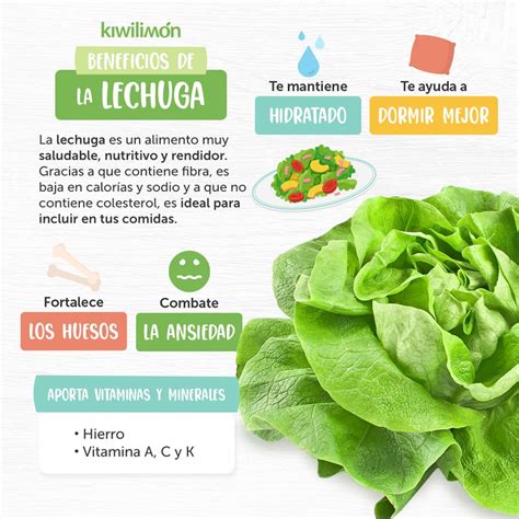 infografía comparativa de los valores nutricionales básicos de la lechuga frente a la espinaca (vitaminas, minerales y contenido hídrico)