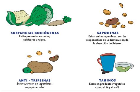 Diagrama explicativo sobre cómo el remojo reduce los antinutrientes en las legumbres