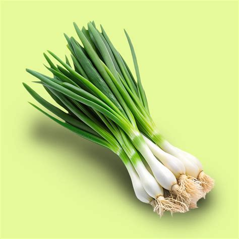 Ilustración de plantines de cebolla de verdeo listos para siembra