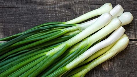 Comparación visual entre cebolla de verdeo y cebolla común en etapa tierna o de calçot