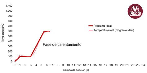 Infografía: Fases del proceso de bizcochado (secado, subida lenta, pico térmico y enfriado)