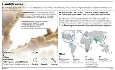 Infografía sobre los grupos de riesgo de Candida auris