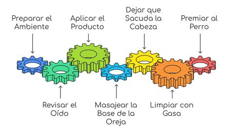 Esquema paso a paso: limpieza, precocción y ablandamiento del mondongo