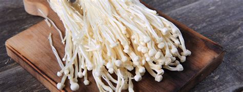 Comparación visual de setas enoki silvestres (marrón) y cultivadas (blancas)