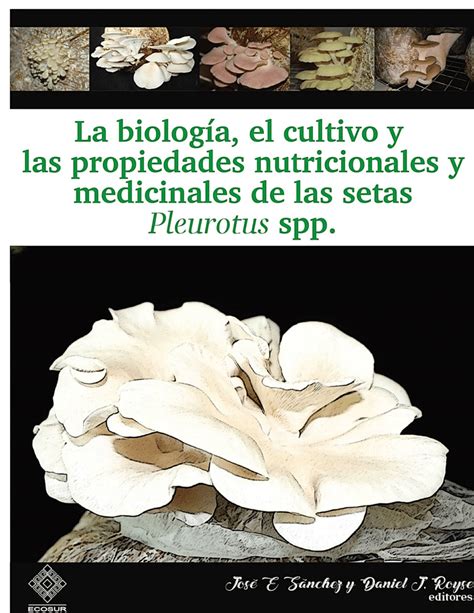 Infografía mostrando las propiedades nutricionales y medicinales de las setas Enoki