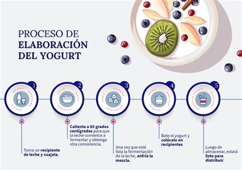 Esquema de los pasos clave para la elaboración de yogur artesanal: calentamiento, inoculación, incubación y refrigeración.
