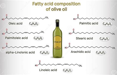 Infografía comparativa: perfil de ácidos grasos y origen del aceite de oliva vs. aceite de girasol