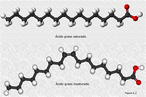 Gráfico de barras: comparación de ácidos grasos monoinsaturados vs. poliinsaturados