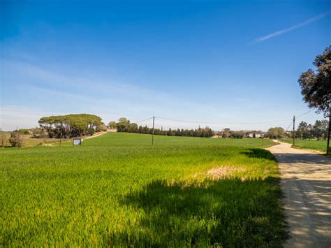 Paisaje general de Caldes de Malavella con bosques y colinas