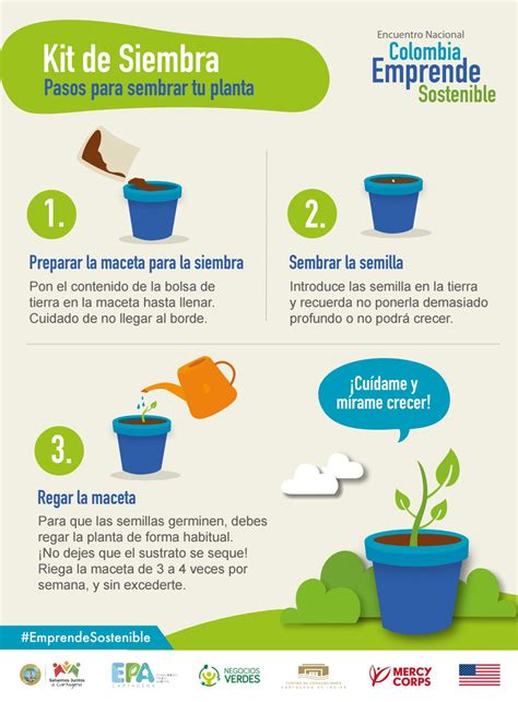 Infografía con los pasos básicos de la siembra microbiológica