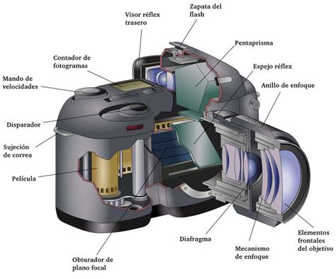 Esquema de las partes internas de una cámara Kodak Brownie de caja